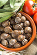 Caracoles