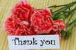 Thank you note and red and white carnations on bamboo mat