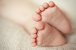 tiny little feet