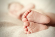 tiny little feet