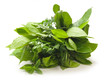 Aromatic herbs - Erbe aromatiche