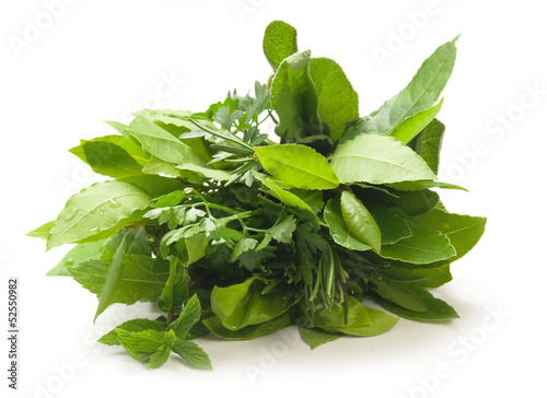 Photo: Aromatic herbs - Erbe aromatiche Aromatic herbs - Erbe aromatiche