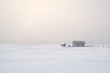 horses on farm in cold misty morning
