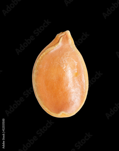 Photo: Pumpkin seeds on a black background. macro Pumpkin seeds on a black background. macro