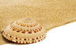 spired conch shell on the sand