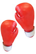 boxing gloves