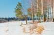 On the bank of the frozen lake.