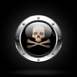 danger button. skull and crossbones icon