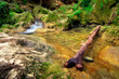 Spring wood and river. Waterfall, falls on the river