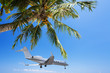 Private jet landing at the tropical resort