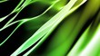 Soft Green Background