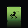 icon web