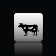 icon web