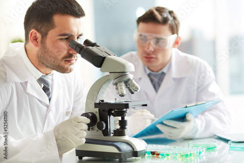 Photo: Studying virus Studying virus