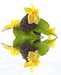 reflets de galets zen fleuris