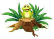 A stump with a frog