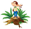 A stump with a male monkey