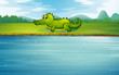 An alligator at the riverside
