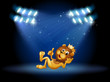 A king lion at the center of the stage