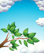 A branch of tree with leaves