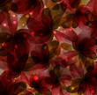 Abstract flowers