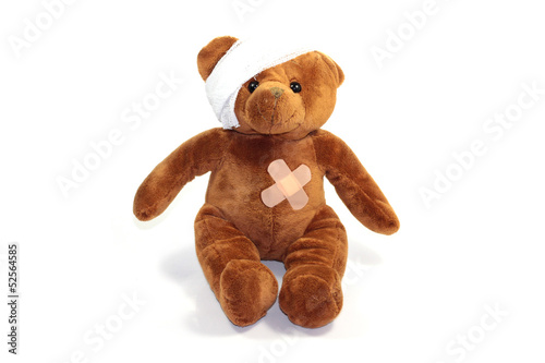 Photo: Ourson accidenté Ourson accidenté