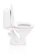 Toilet bowl