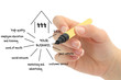 Photo: Business Marketing Flow Chart Business Marketing Flow Chart