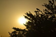 tramonto