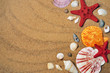 Sea shells