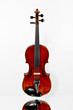 Alte Violine über Spiegelfläche