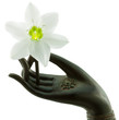fleur blanche dans main bronze soliflore