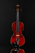 Alte Violine über Spiegelfläche