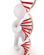3d men with DNA structure model on white