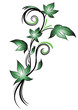 edera colorata decorazione