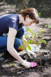 Woman planting seedling, focus on woman