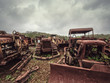 vehicle graveyard