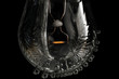Light bulb and sparkles
