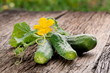 Cucumbers with leaves