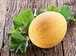 Foto: Melon with the leaves Melon with the leaves