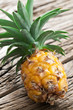 Photo: Pineapple. Pineapple.