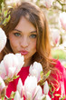 Magnolia