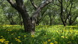 yellow dandelions between apple trees