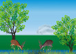 Vector: two deers and green trees illustration two deers and green trees illustration