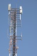 Cellular Antenna