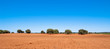Red Spanish land