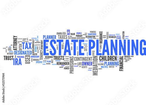 Vector: Estate Planning (estate, planning, trust, attorney; tag cloud) Estate Planning (estate, planning, trust, attorney; tag cloud)