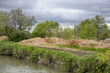 récolte des roseaux, Phragmites australis, 30, Camargue