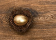 Photo: golden easter egg in birds nest on wooden background golden easter egg in birds nest on wooden background