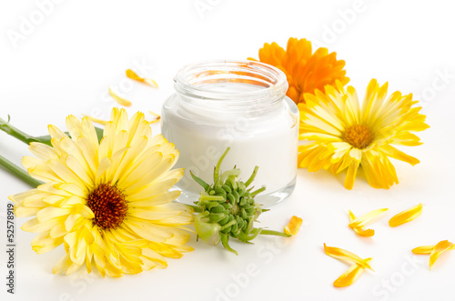 Photo: Ringelblumen-Hautcreme Ringelblumen-Hautcreme